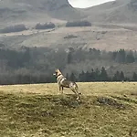 The West Highland Way 5*
