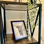 דירה Garden-view 2br - Free Parking & Wifi גלאזגו