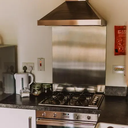 Lovely Bohemian In Heart Of Life * Glasgow