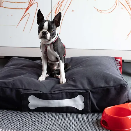 Radisson Red Hotel, Hotel