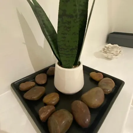 Modern 2-bed In Secc/hydro