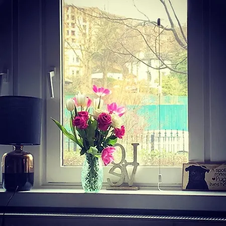 Apartment Colourful, Comfortable Flat In Heart Of West End *