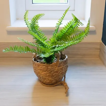 Stylish House With Private Parking *