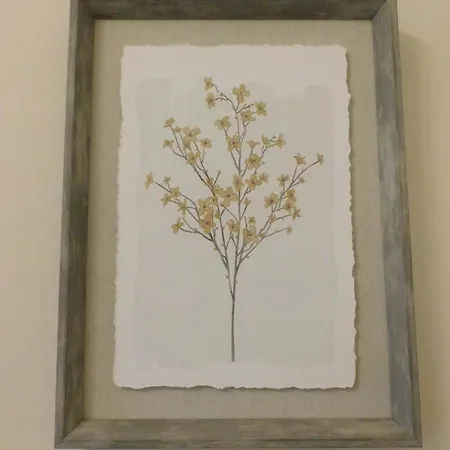 Beautiful & Spacious 2 Bed In West End