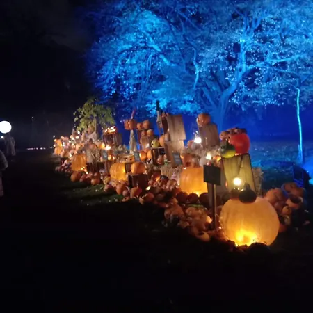 The Georgian House 게스트하우스