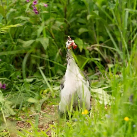 度假居 Cosy Cute With Large Veranda & Outdoor Bath *