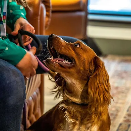 Hotel Ibis Styles 3*