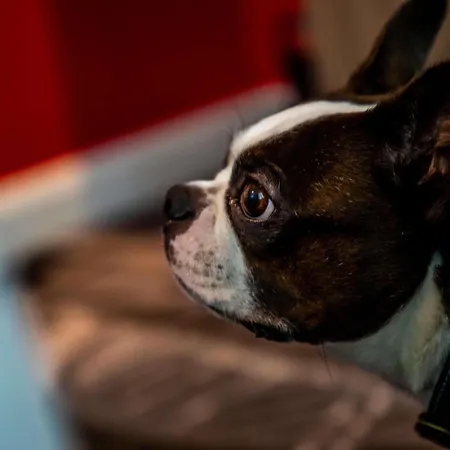 Ibis Styles Hotel Glasgow