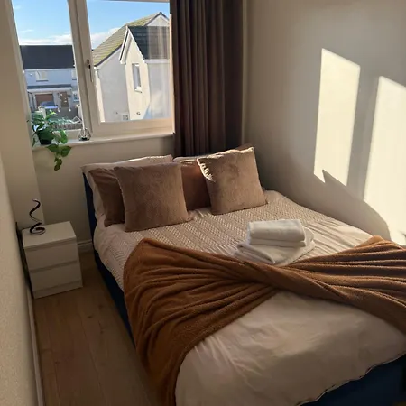 Apartament Black Daisy