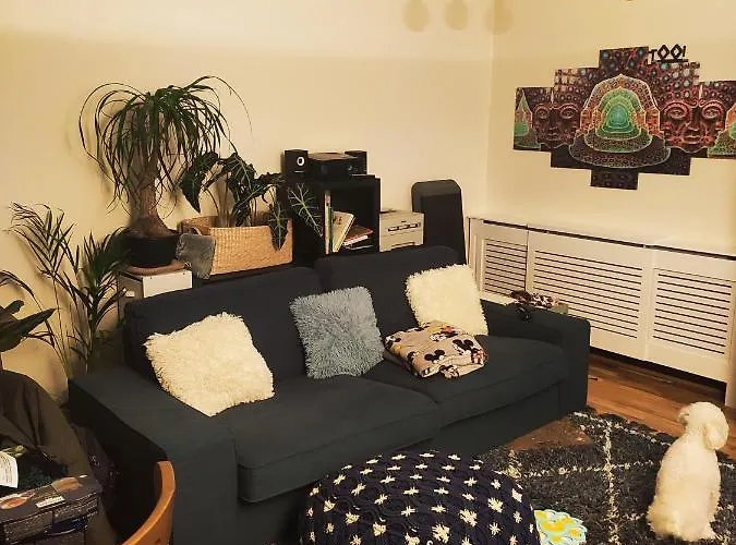 Single Bedroom In Quiet Neighbourhood Séjour chez l'habitant