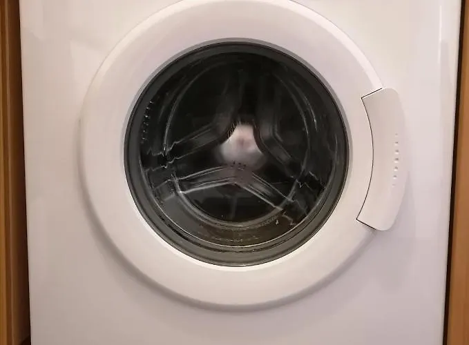 - Sleeps 2 & Freeparking During Weekend