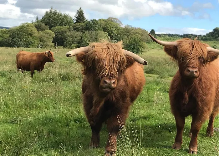 The West Highland Way And Retreat Глазго