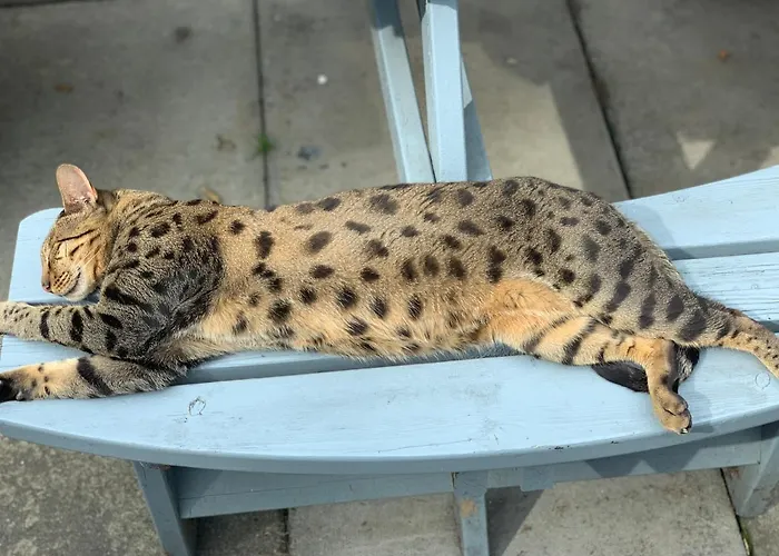 The West Highland Way And Retreat Отель 5*