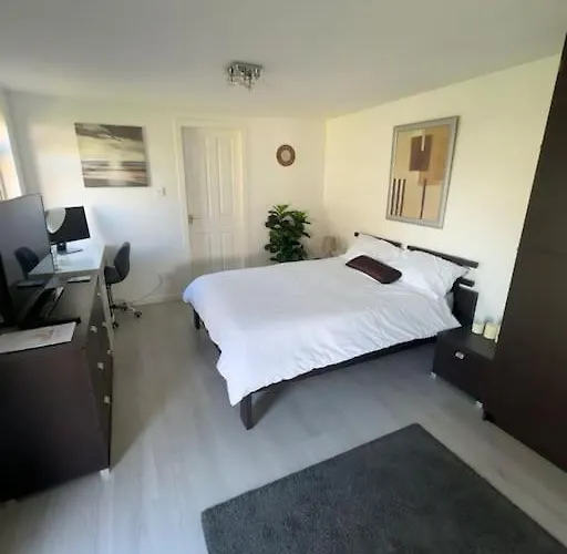 Entire Private 1 Bedroom - Guest In