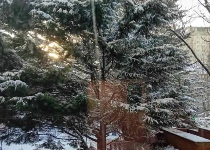 Hampden Hues Apartamento *