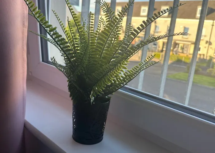 Apartament Black Daisy