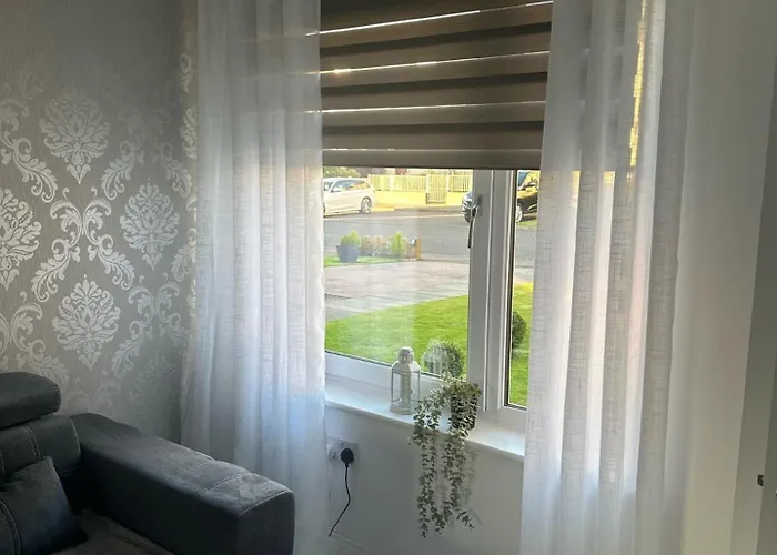 Black Daisy Apartament