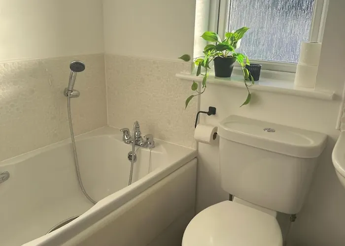 Apartament Black Daisy *