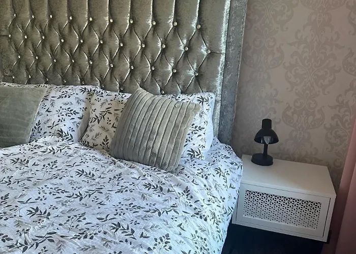 Black Daisy * Glasgow