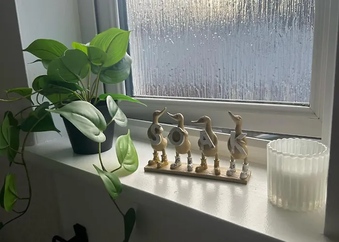 Black Daisy Apartament *