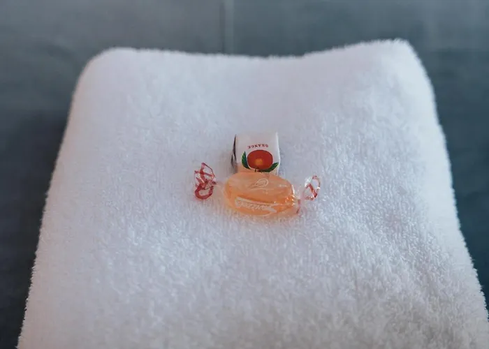 Apartment Stylish 3br Near Hampden No 29 With Free Parking