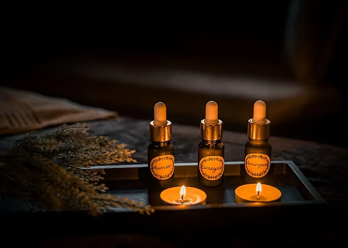 Affittacamere The Alamo