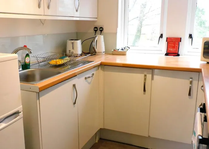 Bright 3 Bed Overlooking The Clyde Sec & Hydro