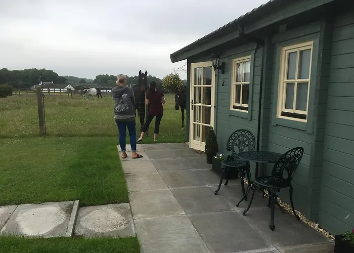 Auchenlea 山林小屋 格拉斯哥