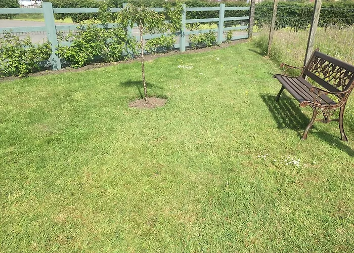 Auchenlea 山林小屋 *