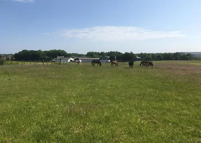 Auchenlea 格拉斯哥