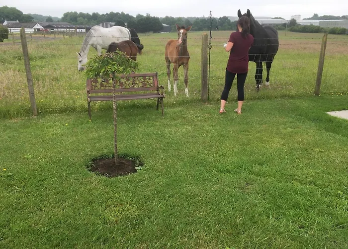 山林小屋 Auchenlea 格拉斯哥