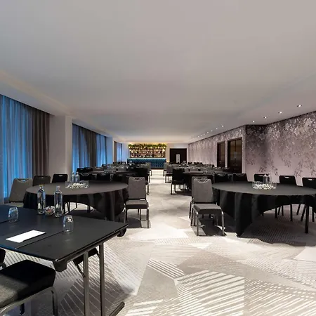 Hotel Radisson Blu Hotel,
