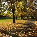 Traditional Close To Centre & Hampden 아파트 *