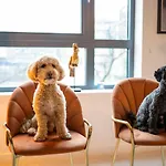 Apartmán The Arran - Your Stylish Scottish Getaway! *