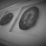 Signature - Moss View