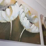 Signature - Dumbreck House