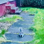 Apartmán Modern Style , Separate Entrance *