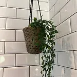 Rustic Floor West End Pad With Balcony, Parking Next To Byers Road, Aston Lane, Uni דירה