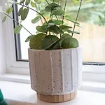 Croftspar House Prázdninový dům