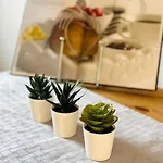 דירה 2 Bed Entire Upper Flat In