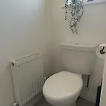 아파트 Black Daisy *