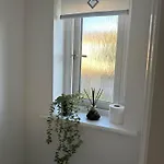 Black Daisy 아파트 글라스고