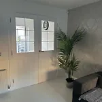 Black Daisy * 글라스고