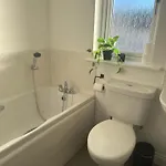 아파트 Black Daisy *