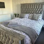 Black Daisy 글라스고