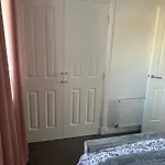 Black Daisy 글라스고