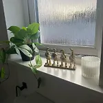 Black Daisy 아파트 *