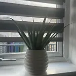 דירה Black Daisy גלאזגו