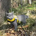 홈스테이 23 Lochburn Gardens - Carz *