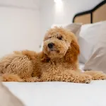 Hamilton - Private Main Door 1br * Glasgow